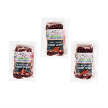 Wholesale Montchevre Cranberry Cinnamon Goat Cheese Logs 4 OZ- Bulk