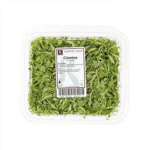 Wholesale Koppert Cress Micro Cilantro-8 OZ Bulk