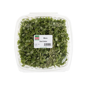 Wholesale BoxNCase Micro Basil-8 OZ Bulk