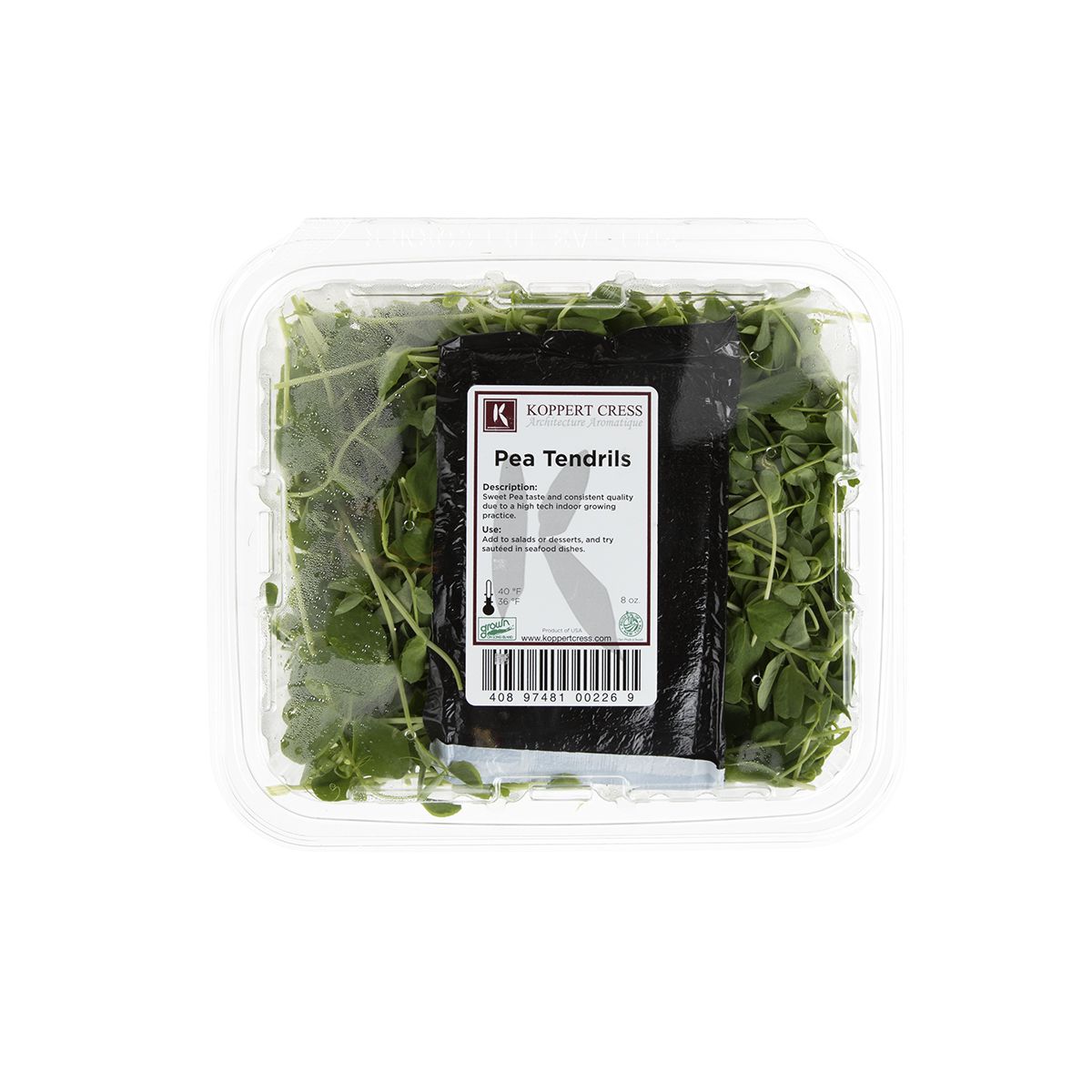 Wholesale BoxNCase Micro Pea Tendrils- Bulk