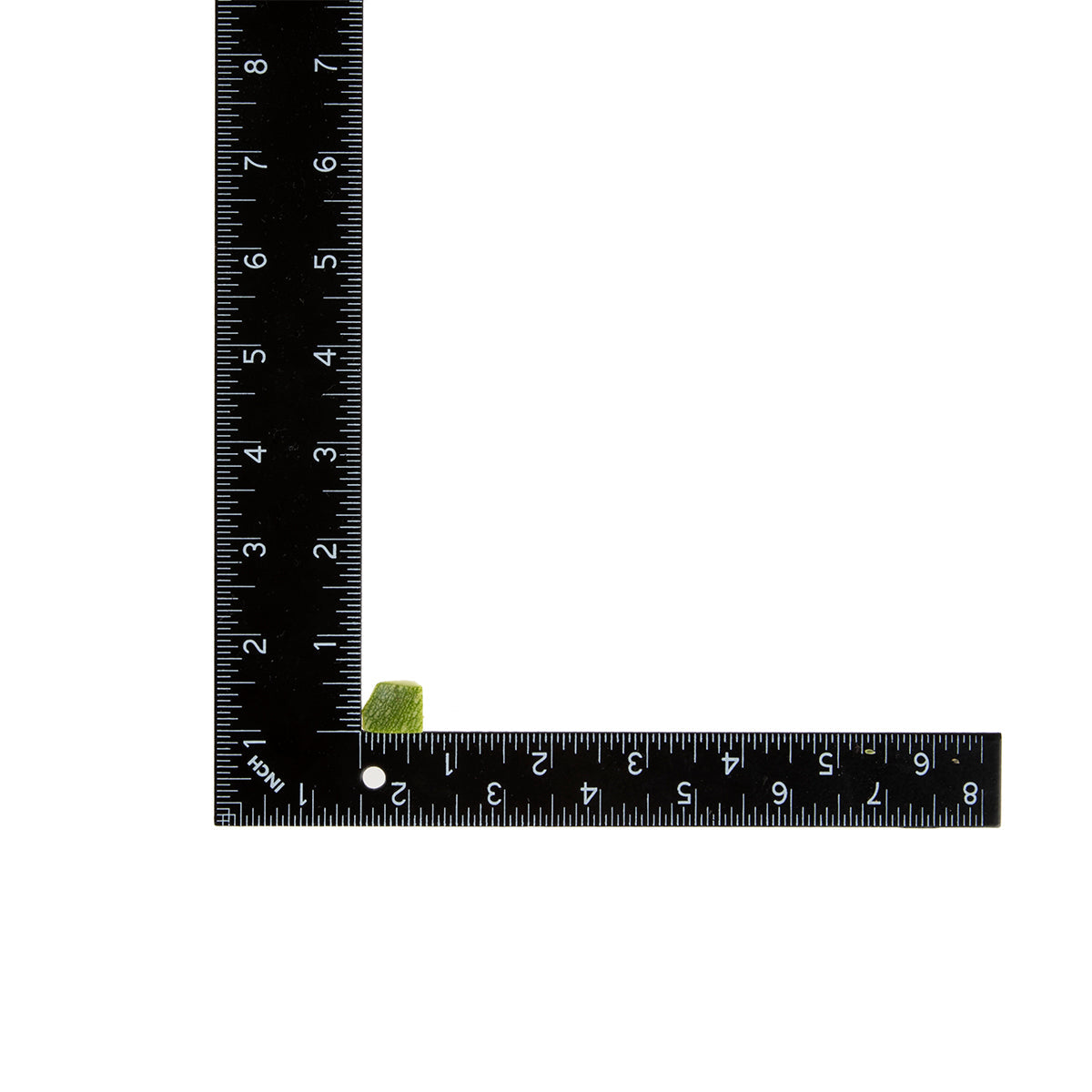 Wholesale BoxNCase 1/2 Diced Zucchini without Seeds 5 LB- Bulk