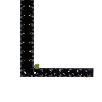 Wholesale BoxNCase 1/2 Diced Zucchini without Seeds 5 LB- Bulk