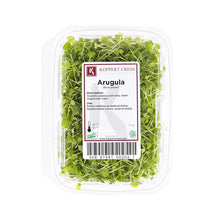 Wholesale Koppert Cress Micro Arugula- Bulk