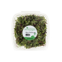 Wholesale BoxNCase Micro Rainbow Mix- Bulk