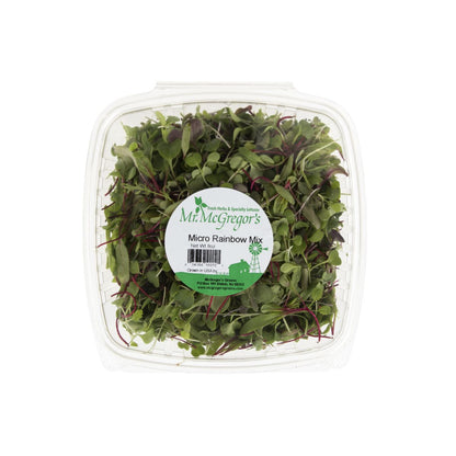 Wholesale BoxNCase Micro Rainbow Mix- Bulk