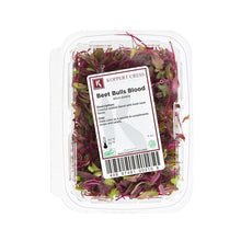 Wholesale Koppert Cress Micro Bulls Blood Beet- Bulk