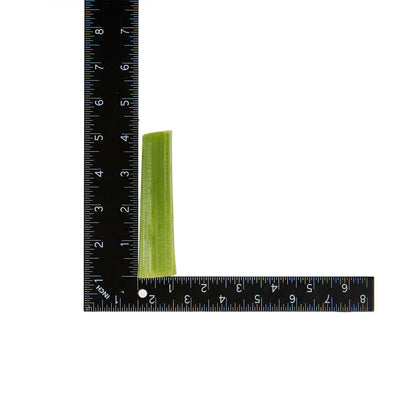 Wholesale BoxNCase 4 Celery Sticks 5 LB- Bulk
