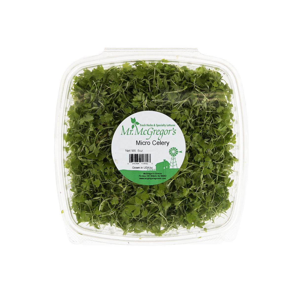 Wholesale BoxNCase Micro Celery- Bulk