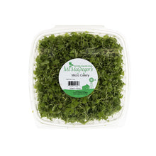 Wholesale BoxNCase Micro Celery- Bulk