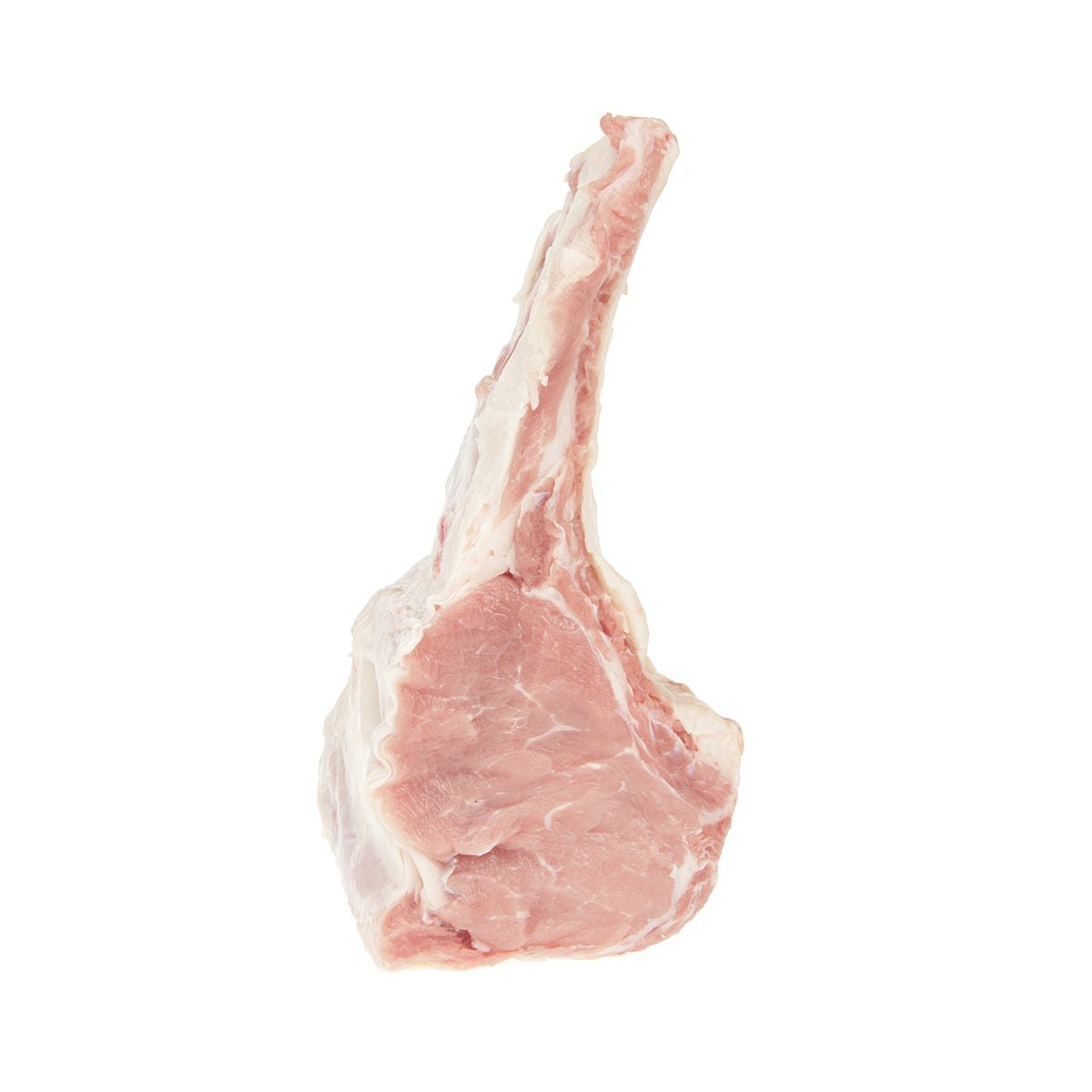 Wholesale Atlantic Veal & Lamb 6 Rib Veal Rack-12 LB 2 PC Bulk