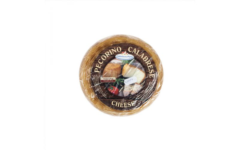 Wholesale Fattoria Della Piana Pecorino Crotonese Cheese Wheel- Bulk