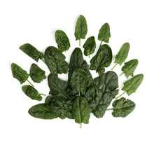 Wholesale County Line Harvest Organic Bloomsdale Spinach- Bulk