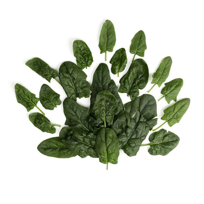 Wholesale County Line Harvest Organic Bloomsdale Spinach- Bulk