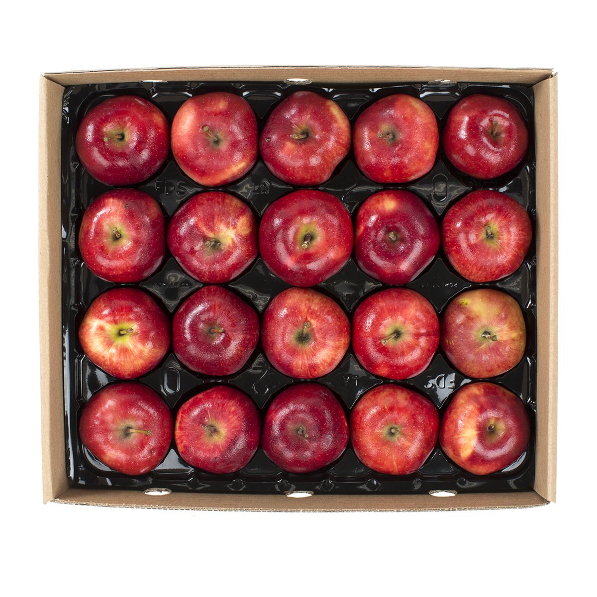 Wholesale BoxNCase Panta-Pack Red Delicious Apples-20 Ct Case Bulk