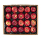 Wholesale BoxNCase Panta-Pack Red Delicious Apples- Bulk