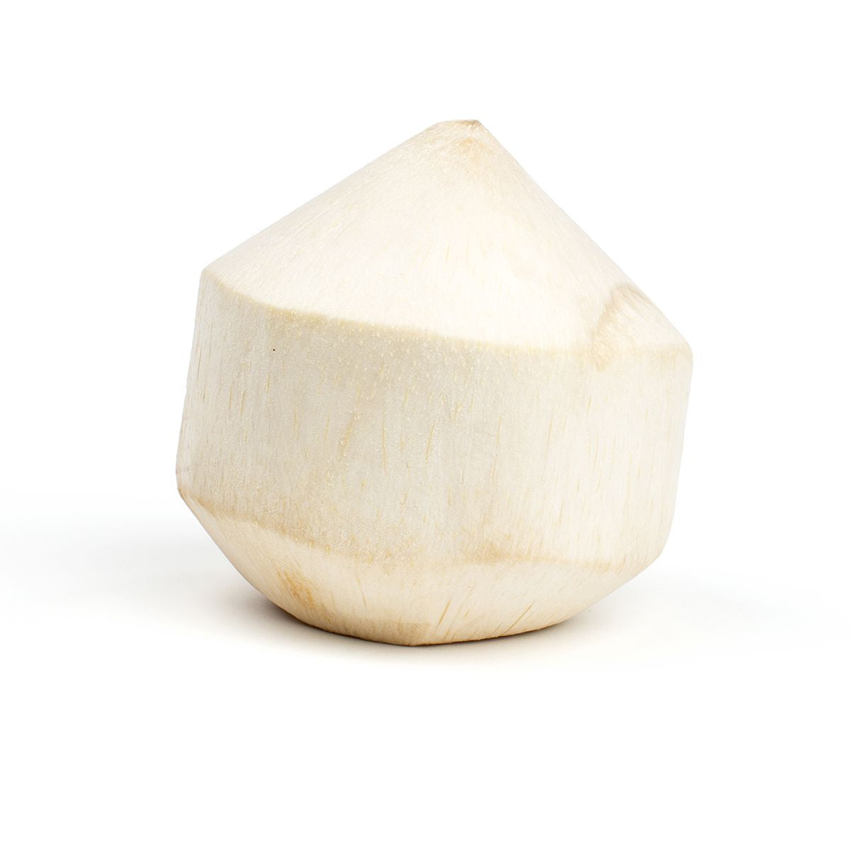 Wholesale BoxNCase Young Coconuts-9 CT Bulk