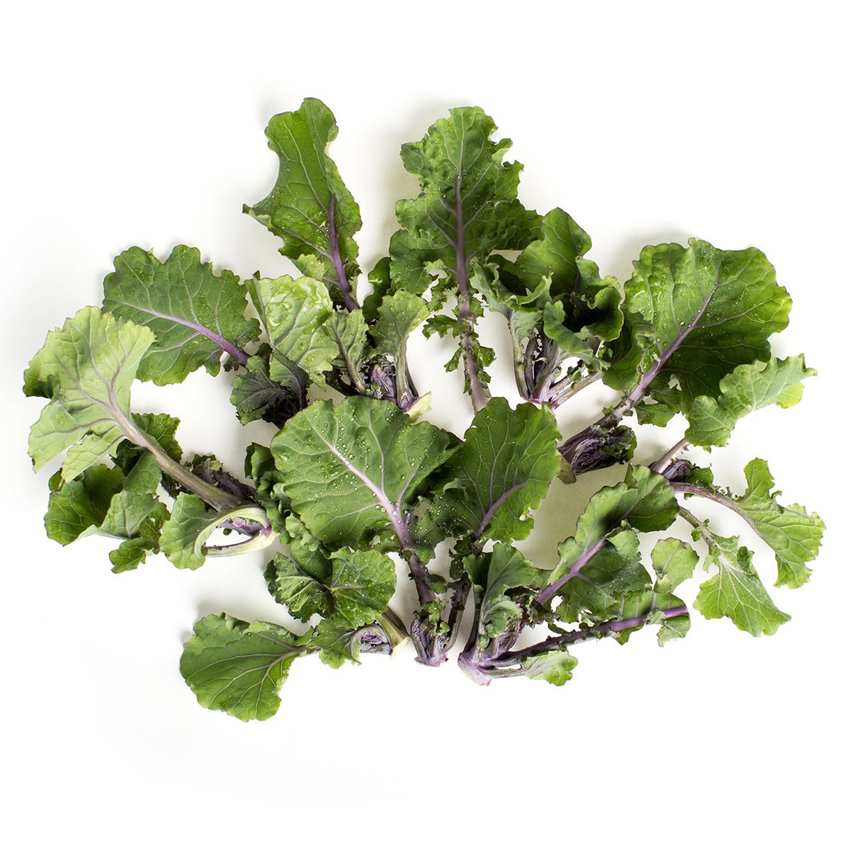 Salad Savoy Lollipop Kale Sprouts