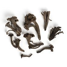 Wholesale BoxNCase Black Trumpet Mushrooms- Bulk