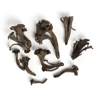 Wholesale BoxNCase Black Trumpet Mushrooms- Bulk