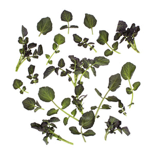 Wholesale B&W Red Watercress 1.5 lb-1.5 LB Bulk