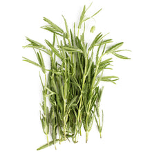 Wholesale BoxNCase Lavender- Bulk