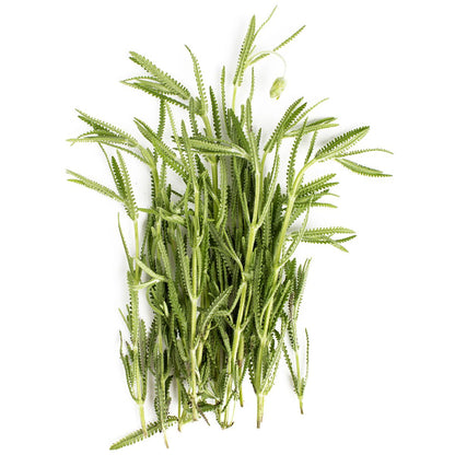 Wholesale BoxNCase Lavender-1 LB Bulk