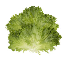 Wholesale Mann Packing Better Burger Leaf- Bulk