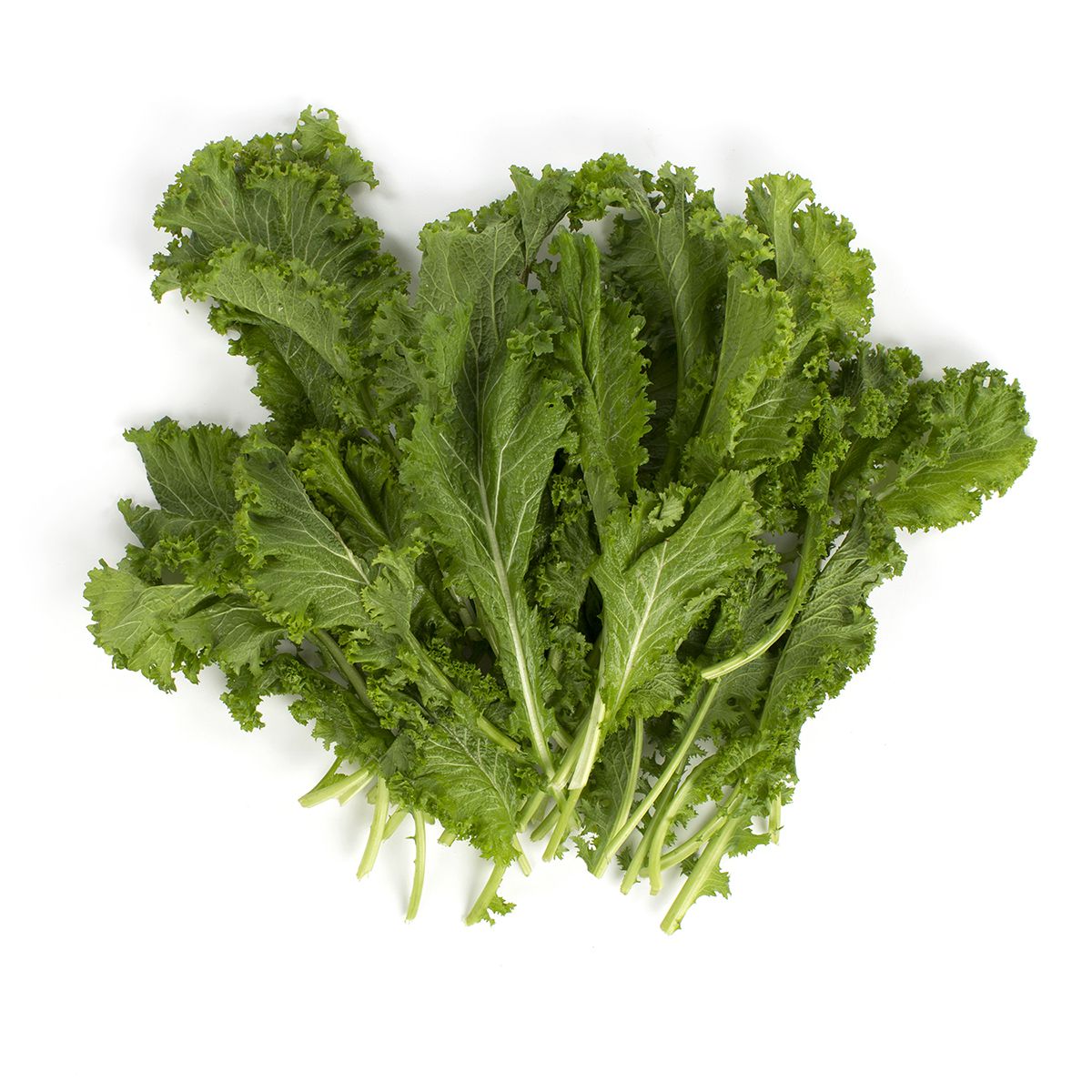 Wholesale BoxNCase Mustard Greens- Bulk