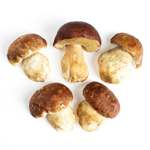 Wholesale BoxNCase Grade No. 1 Porcini Mushrooms-3 LB Bulk