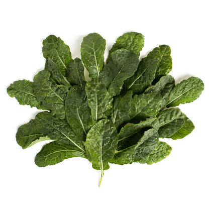 Wholesale BoxNCase Baby Lacinato Kale- Bulk