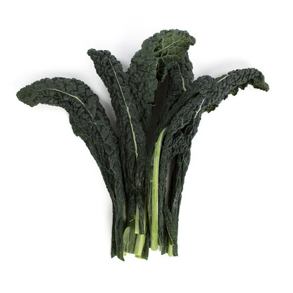 Wholesale BoxNCase Lacinato Kale- Bulk