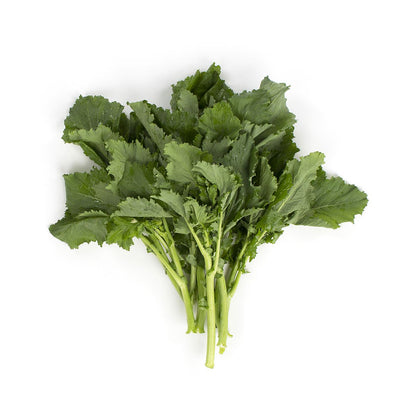 Wholesale D'Arrigo Organic Andy Boy Broccoli Rabe- Bulk