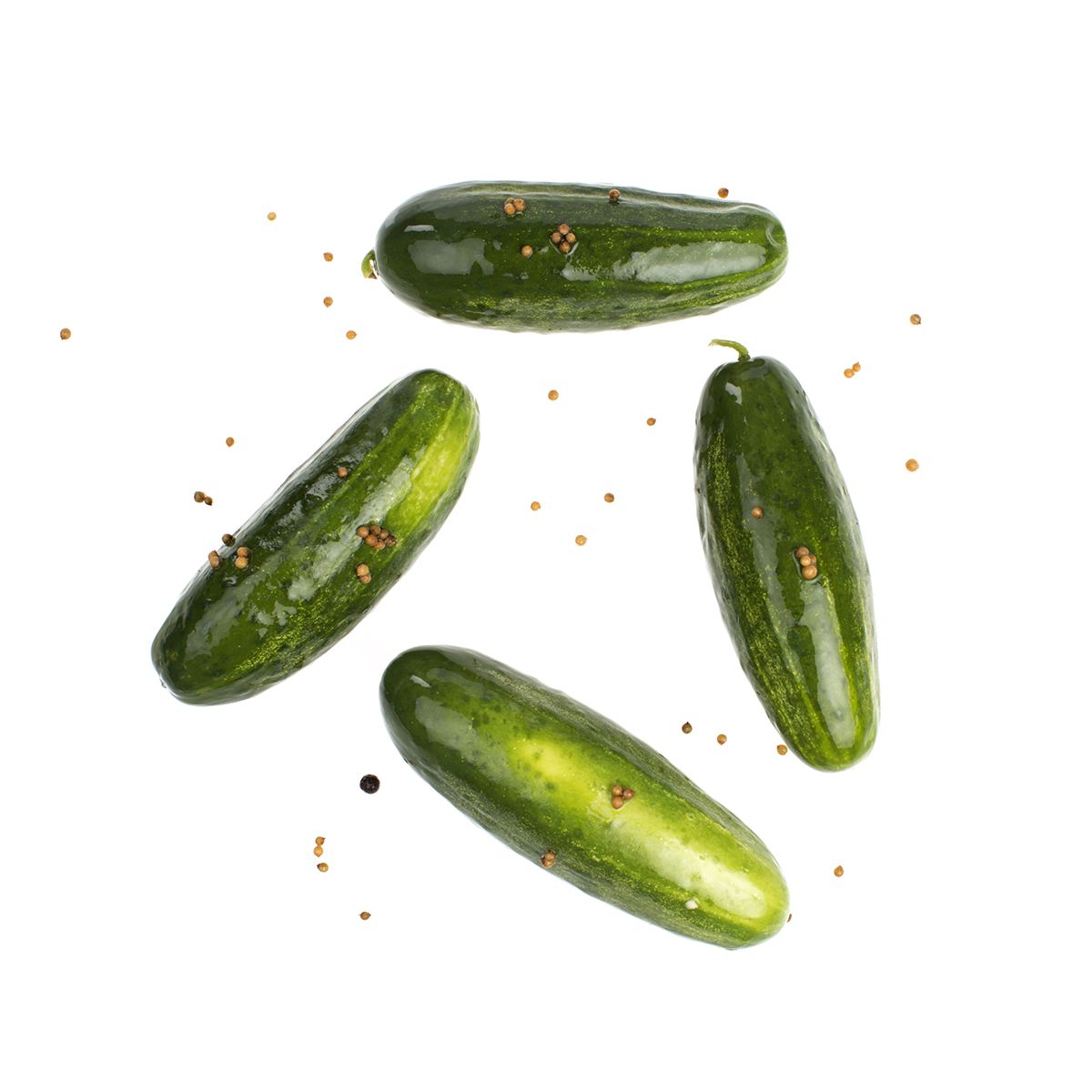 Wholesale Patriot Pickle Half Sour Green Pickles-50 CT 5 GAL Bulk