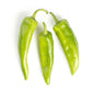 Wholesale BoxNCase Anaheim Peppers- Bulk