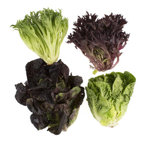 Wholesale Tanimura & Antle Artisan Mini Head Lettuce-8 LB Bulk