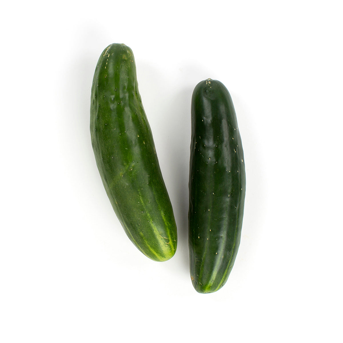 Wholesale BoxNCase Super Select Slicing Cucumbers-BSH Bulk