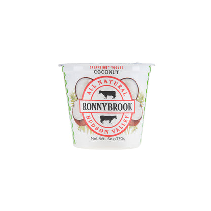 Wholesale BoxNCase Coconut Yogurt 6 oz Jar- Bulk