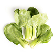 Wholesale BoxNCase Baby Bok Choy- Bulk