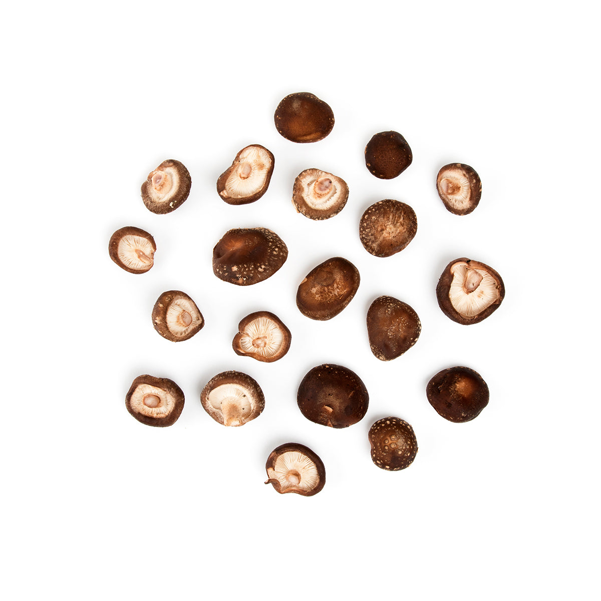 Wholesale Martha'S Vineyard Mycological Wild Harvest Shiitake Mushrooms- Bulk