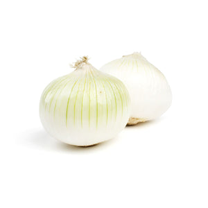 Wholesale BoxNCase Jumbo White Onions-50 LB Bulk