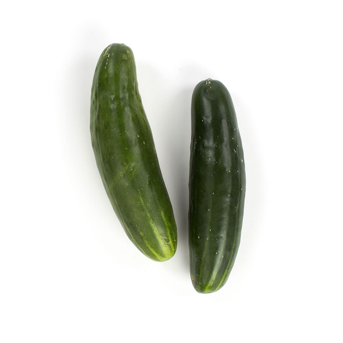 Wholesale BoxNCase Organic Cucumbers-1/2 Bushel Bulk