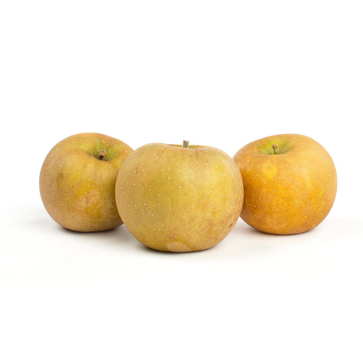 Wholesale Scott Farm Orchard Roxbury Russet Heirloom Apples-18 LB Bulk