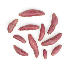 Wholesale BoxNCase Red Chile Fingerling Potato-50 LB Bulk