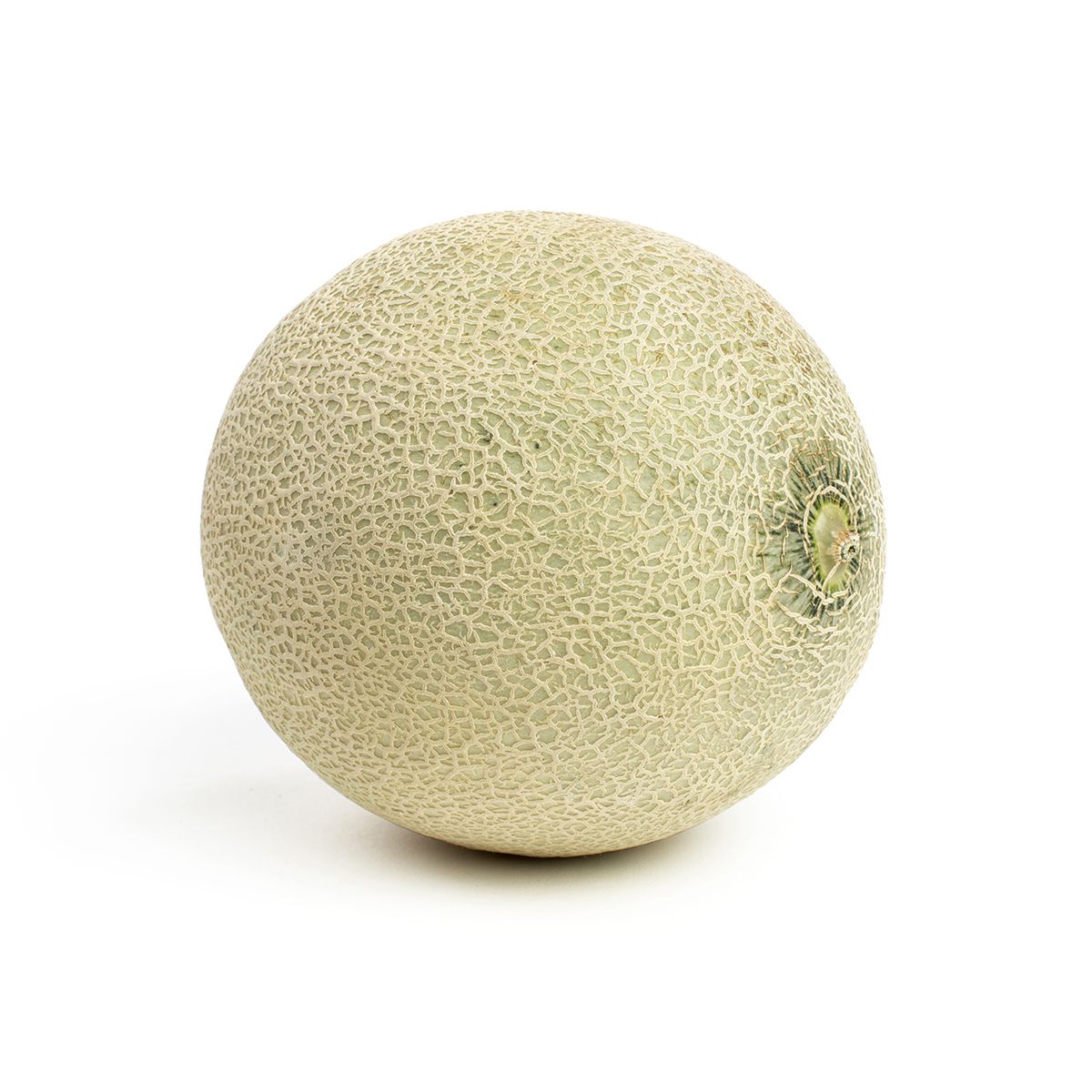 Wholesale BoxNCase Cantaloupe Melons- Bulk