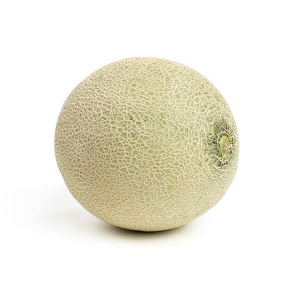 Wholesale BoxNCase Cantaloupe Melons- Bulk
