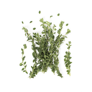 Wholesale Eva'S Garden Greek Oregano-3 Pack Bulk