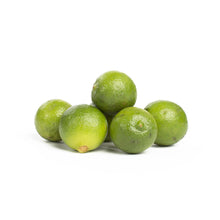 Wholesale BoxNCase Organic Persian Limes- Bulk