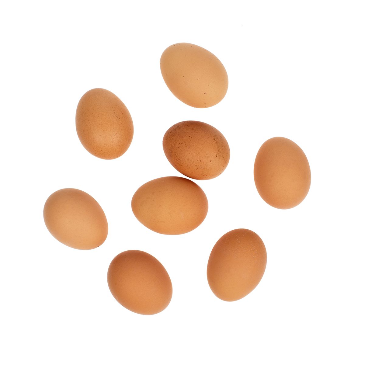 Wholesale Noah'S Pride Organic Cage-Free Large Egg Cartons 1 DZ- Bulk