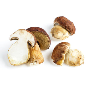 Wholesale BoxNCase Grade No. 1 Porcini Mushrooms-3 LB Bulk