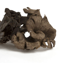 Wholesale BoxNCase Black Trumpet Mushrooms- Bulk